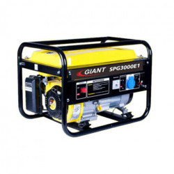 Giant Gasoline Generator –...