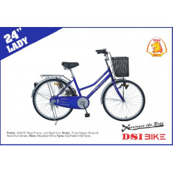 DSI 24 Inch Lady  Bicycle