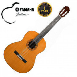 Yamaha  Acoustic Guitar - C40