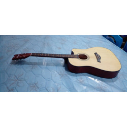 Trinity Acoustic Guitar-TM11