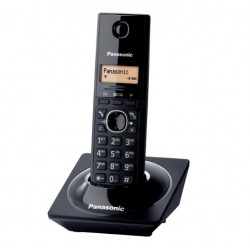 Panasonic KX-TG1711...