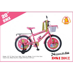 DSI 20 Inch BMX Kid's Bicycle