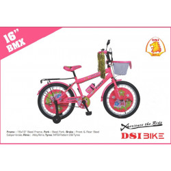 DSI 16 Inch BMX Kid's Bicycle