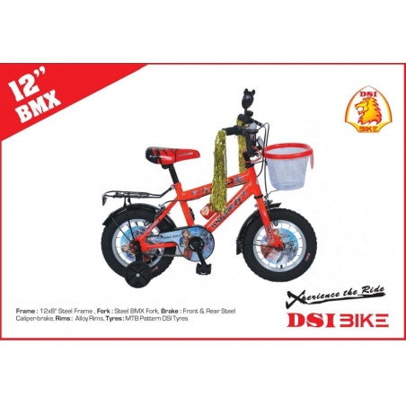 Dsi kids bicycle hotsell
