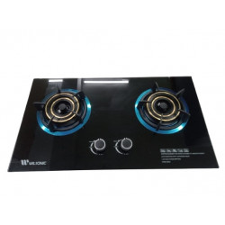 Wilsonic Glasstop 2 Burner...