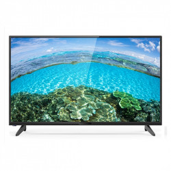 FUJI 24" HD LED TV - FUMA24236