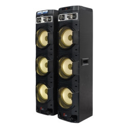 POLYTRON Bluetooth Active...