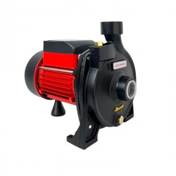 Delmege Water Pump 0.5HP - CF