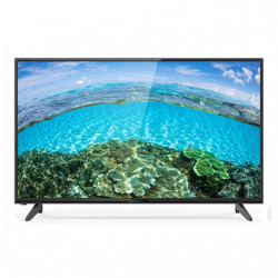 FUJI 24" HD LED TV-24FU-N2412