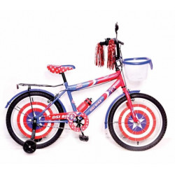 Dsi bmx bicycle online